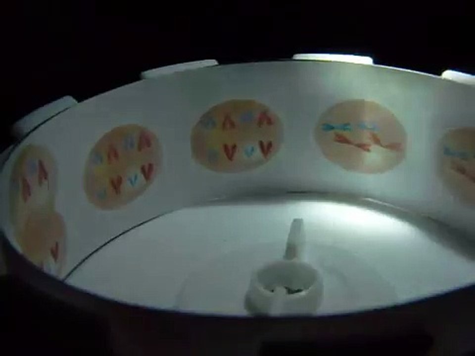 細胞分裂