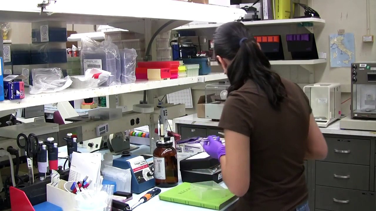 National Institutes of Health 2012-05-25 McGuire