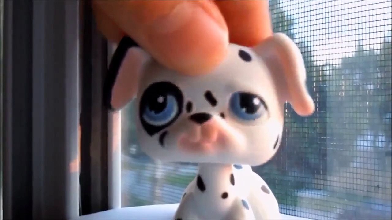 (REUPLOADED)LPS:Stitches(Music Video)