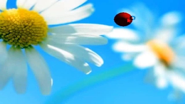 Activar Windows 8 Pro de 32 y 64 Bits Permanentemente [Funcionando 100%]