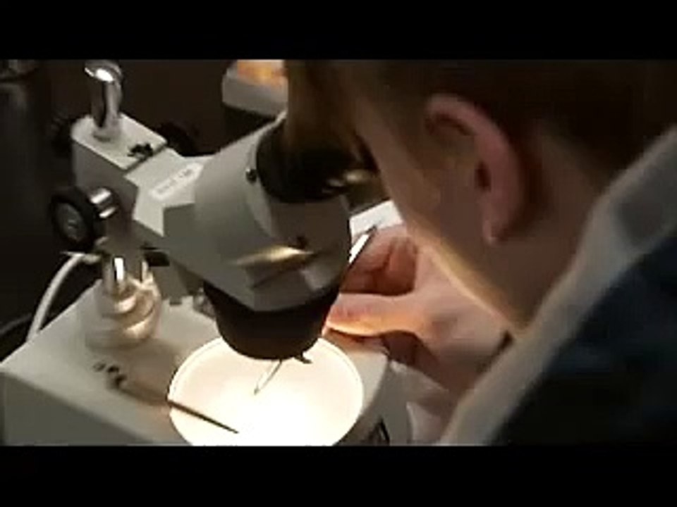 Averill Park High School