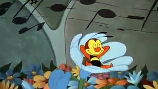 Donald Duck Slide Donald Slide 1949