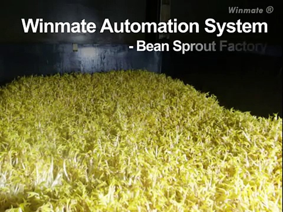 Winmate Automation System - Bean Sprout Factory