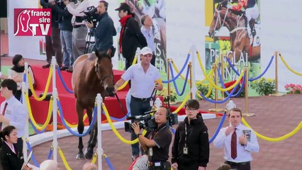 Hong Kong Cup 2013 : La vente aux enchères la plus courte du monde !