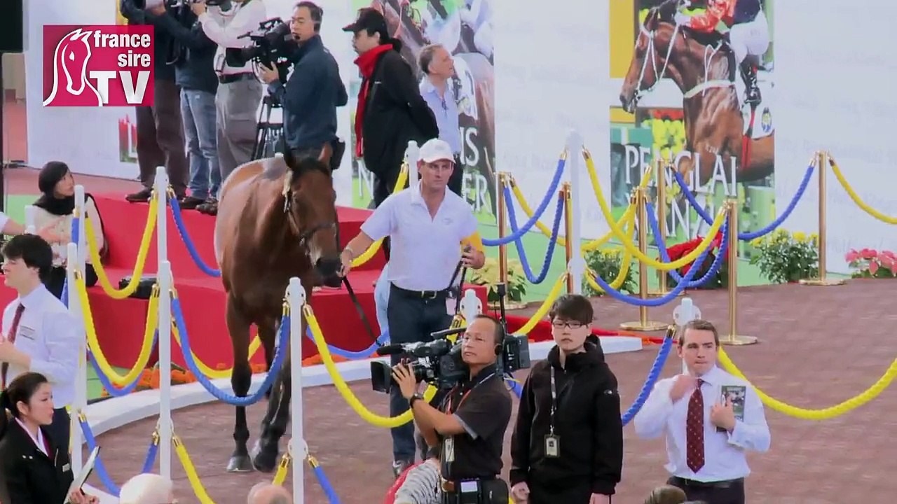 Hong Kong Cup 2013 : La vente aux enchères la plus courte du monde !