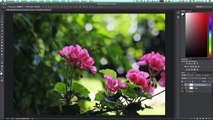 Effetto VSCO Cam con Adobe Photoshop | Totem Lab