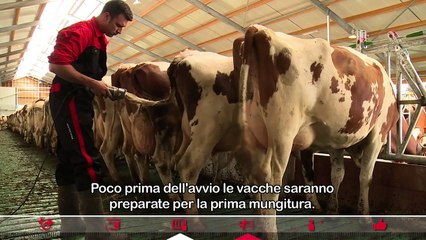 La fase di Start up del robot di mungitura Lely Astronaut - IT