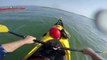 Beluga whales playing with my kayak (close encounter) | Bélugas qui jouent avec mon kayak