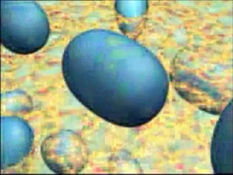 organelas citoplasmáticas   BIOLOGIA   VERSÃO COMPLETA