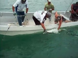 La pesca del Jurel en Casitas,Ver