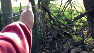Poor Man's Horse Fence - Removing Corners - Buddy Takes a Leak - Rick Gore Horsemanship