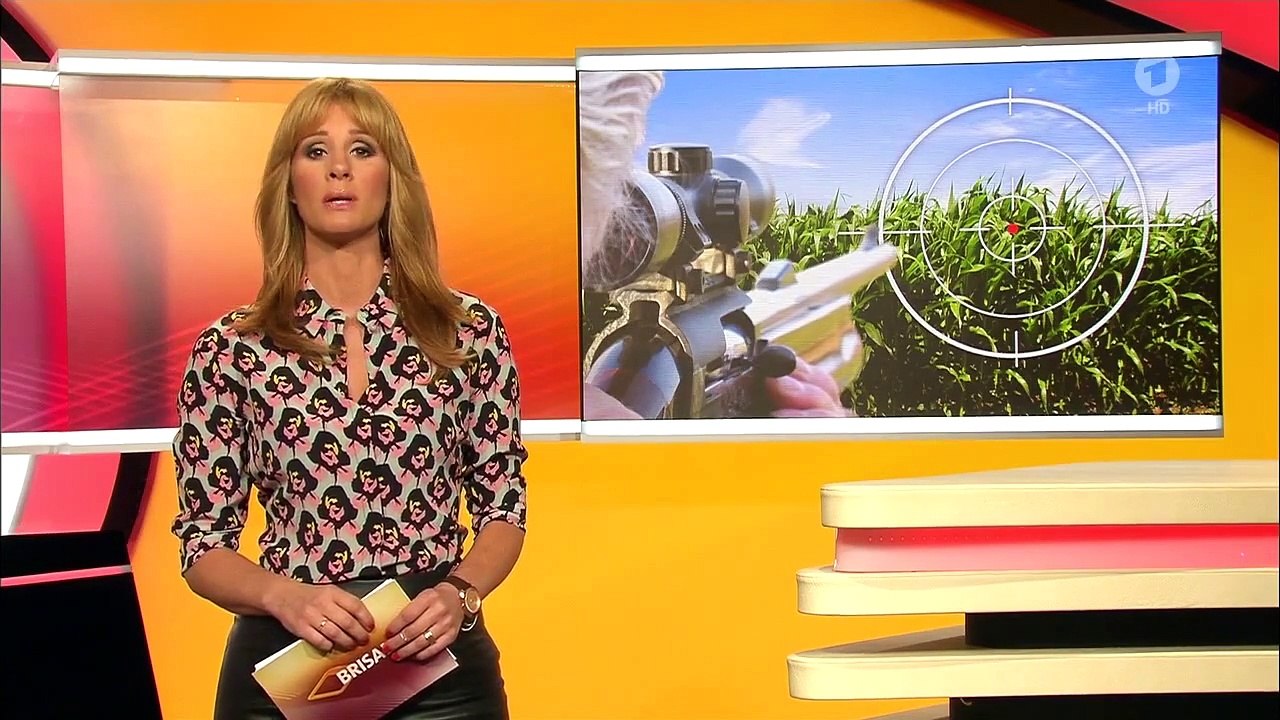 Mareile Höppner - Brisant HD ARD - 10.09.2015 - Brown Blouse, Black Tight Leather Skirt & Heels