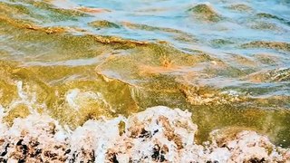 The Gulf oil spill: Part 2—The effect on human health