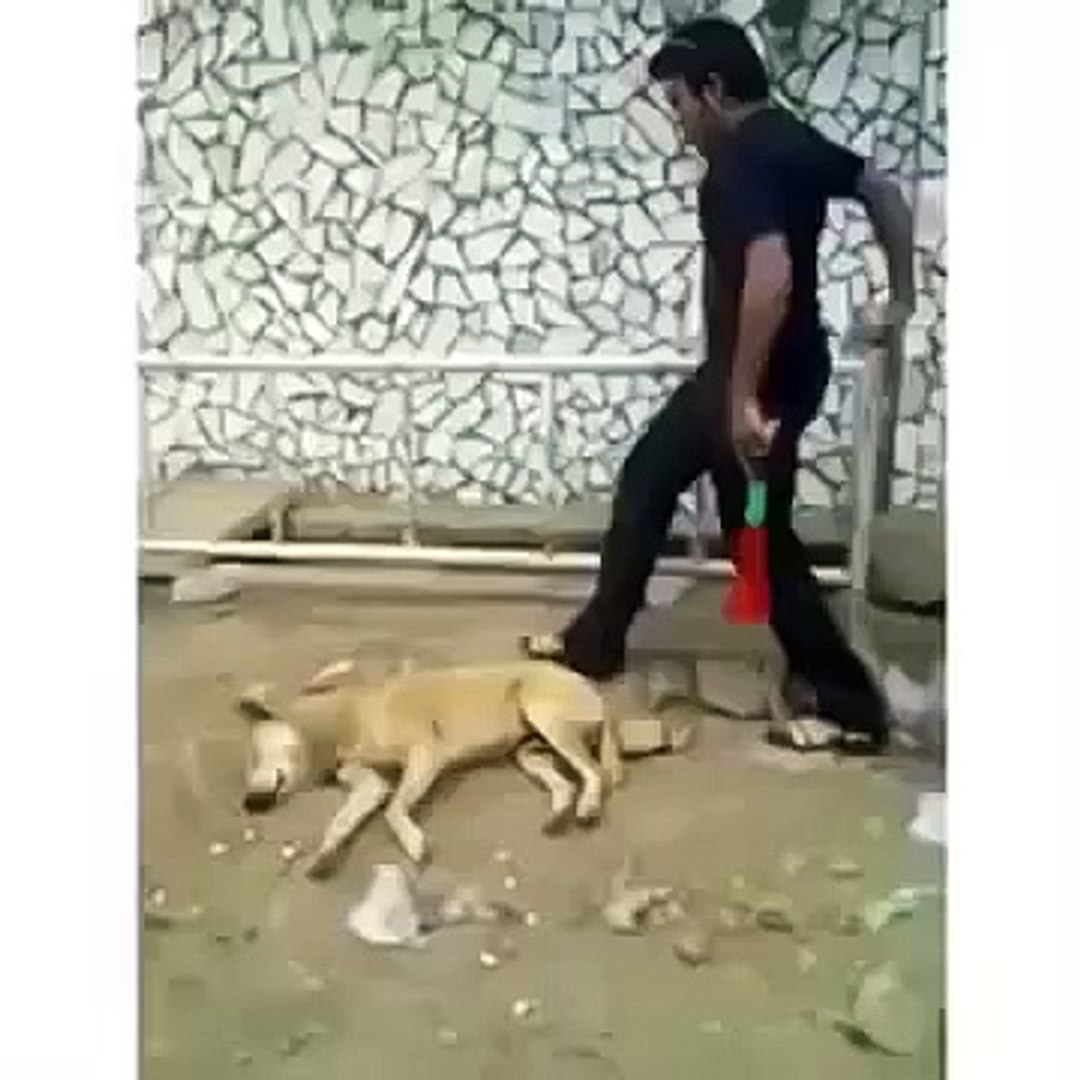 Comedy