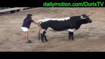 Girl xnxx makes bull in calm