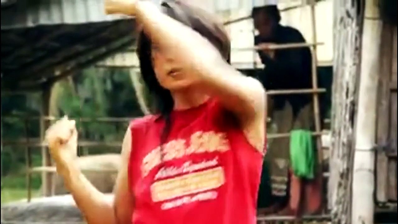 Bokator Tranditional Boxing