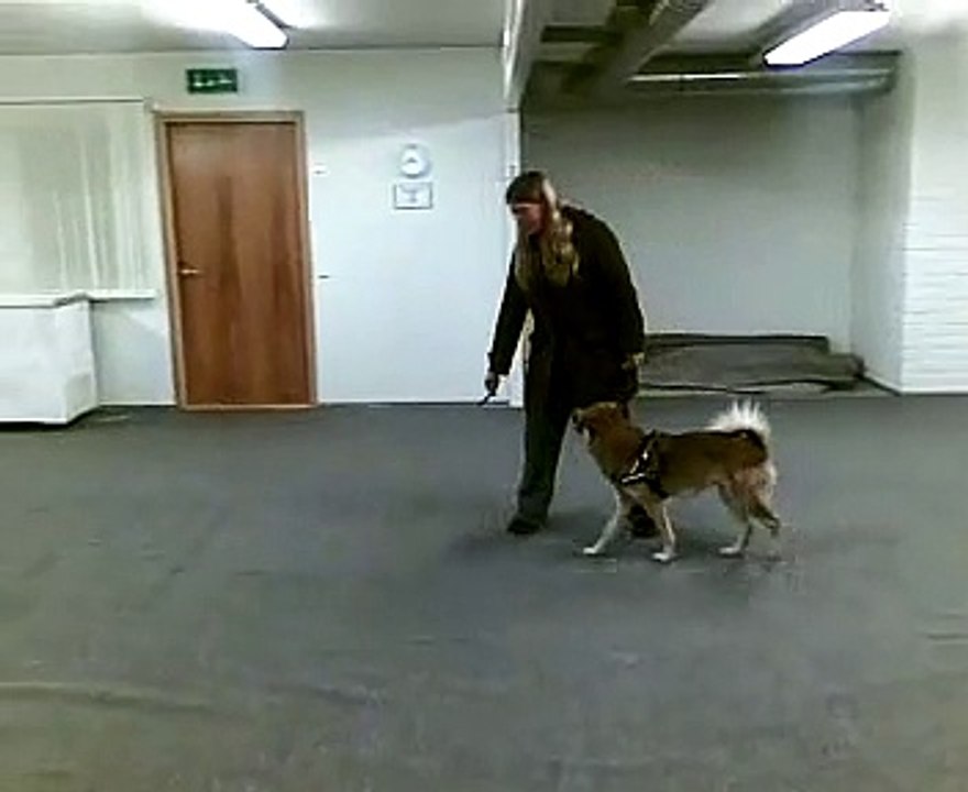 Perttu-Kerttu treenaa ilmaisua