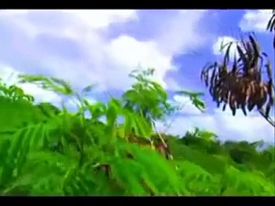 Carga Pesada x alh _ a estrada