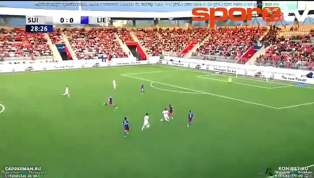 İsviçre Dzemaili ile coştu!