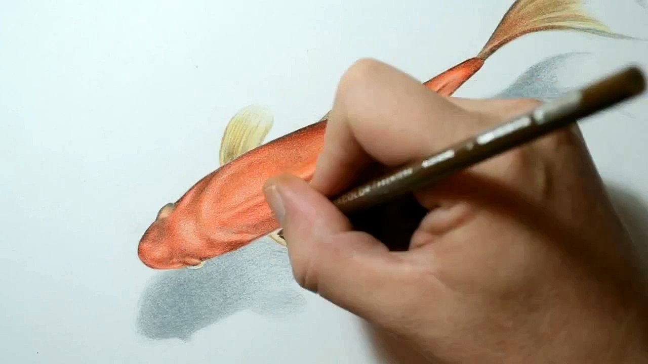 Drawing cartoon