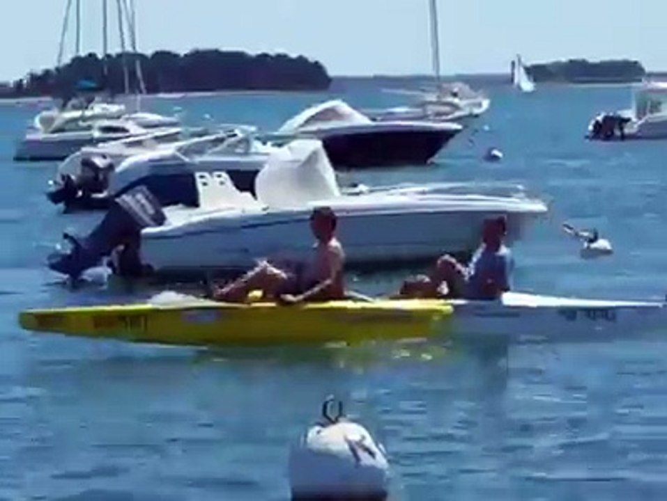 Funny Video