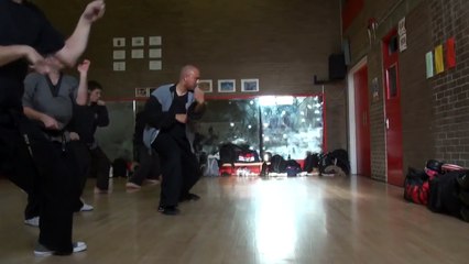 Phoenix Rising - Shaolin Kung Fu