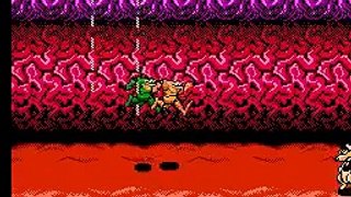 Battletoads (USA) - Game Over by TheZlomuS [TAS by DyLaX]