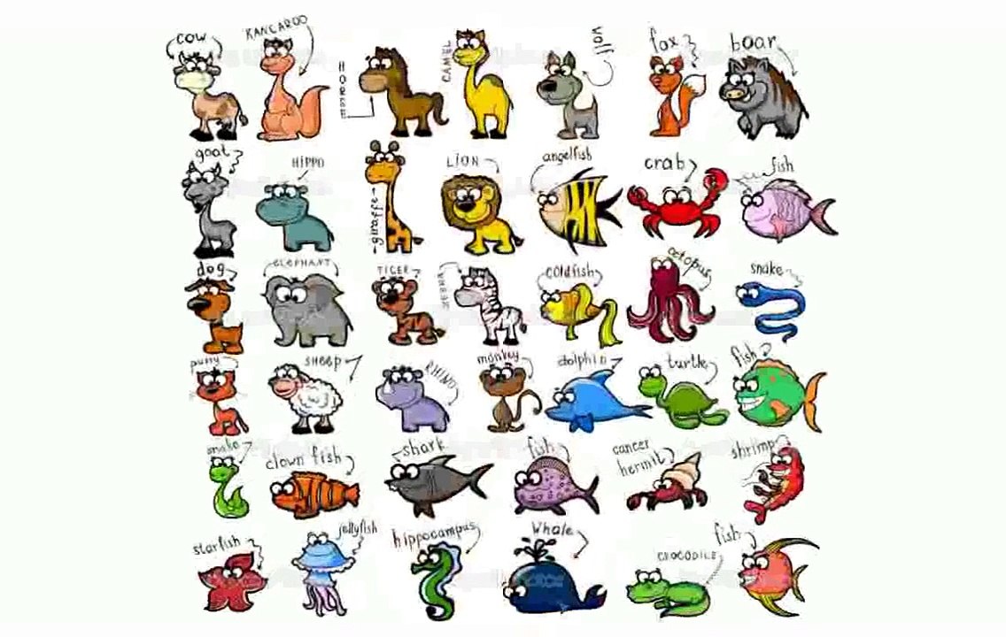 Cute Animal Cartoons