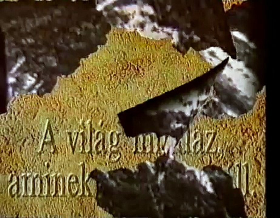 Peter Forgacs "Wittgenstein Tractatus"