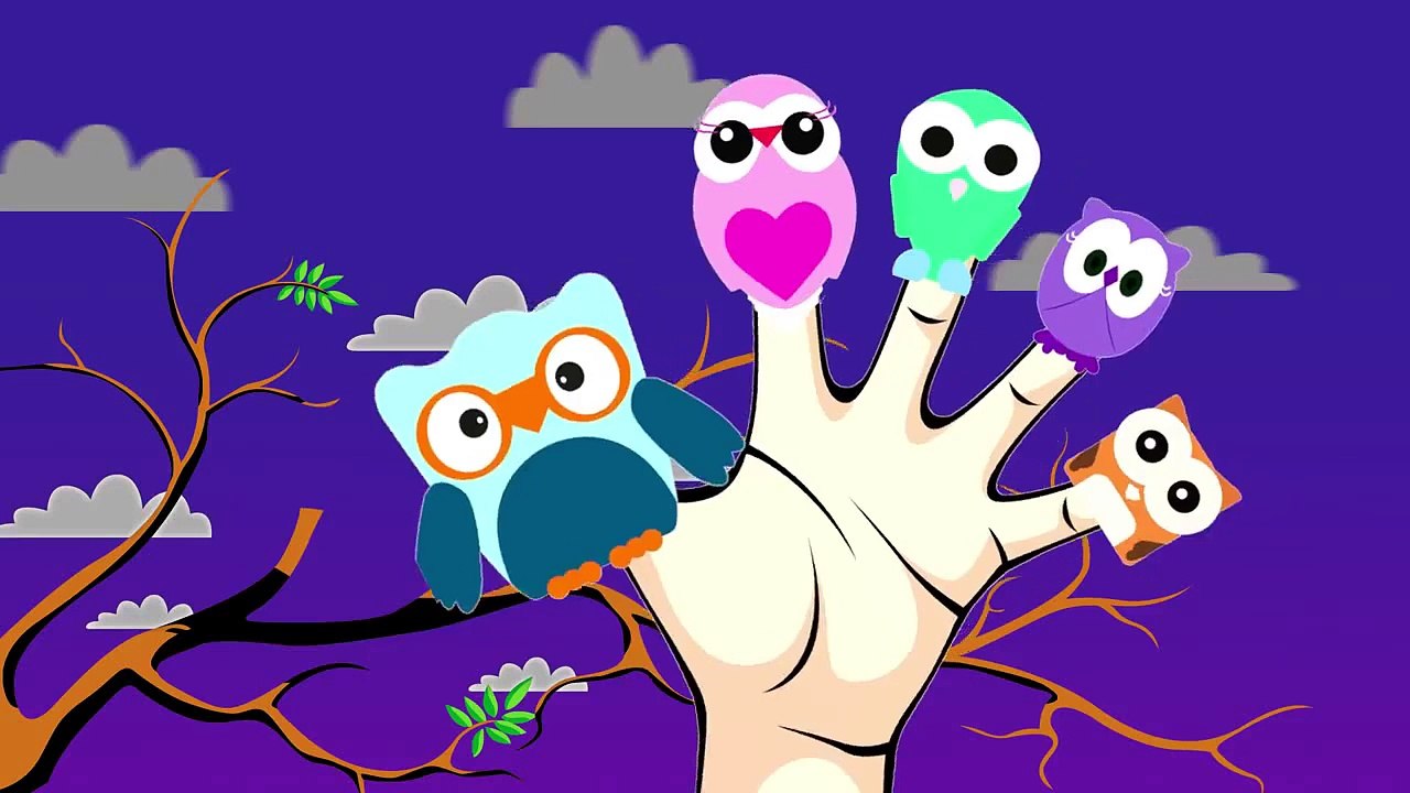OWL Finger Family   Songs For Kids   Surprise Eggs Animation for Children   Nursery Rhymes