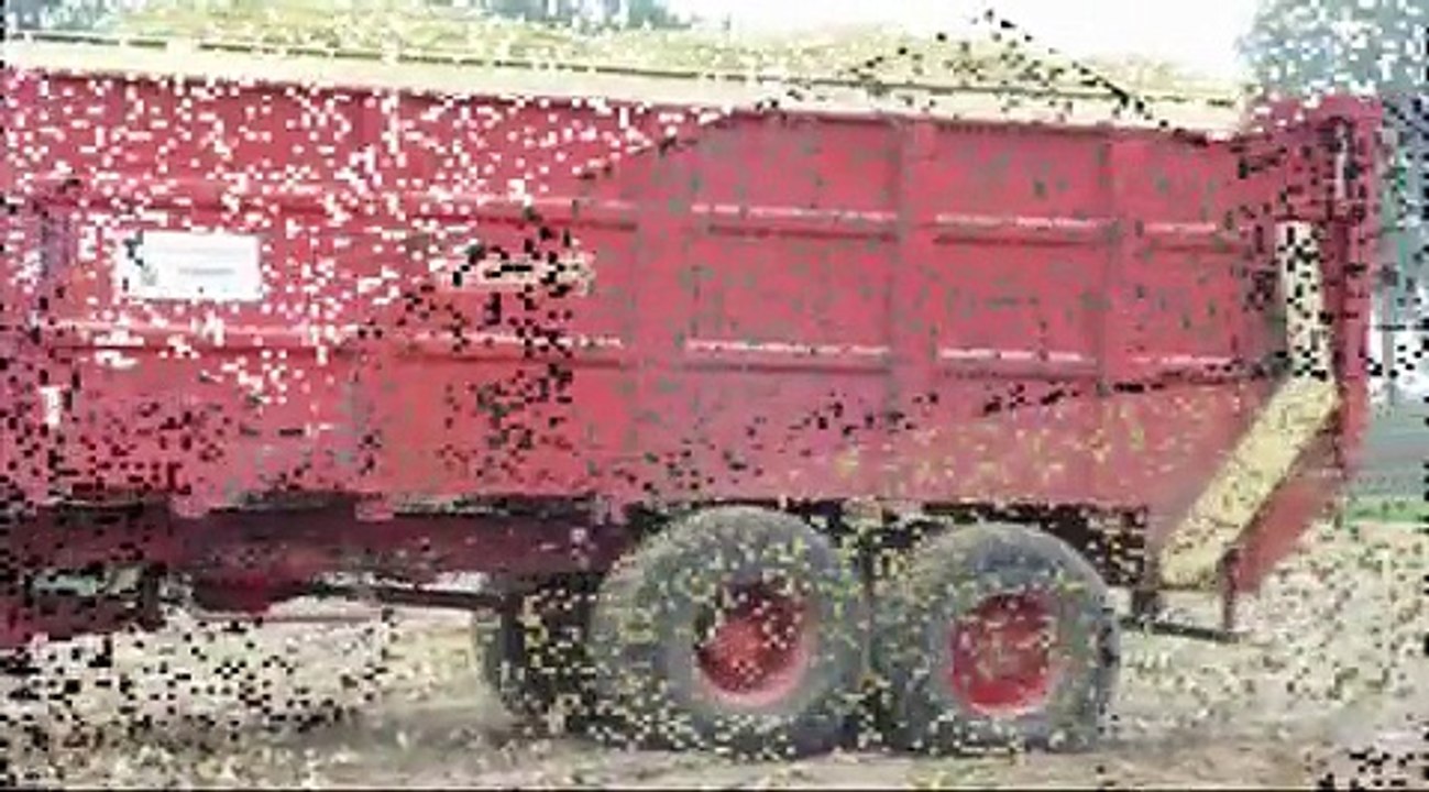 Ensilage 2009