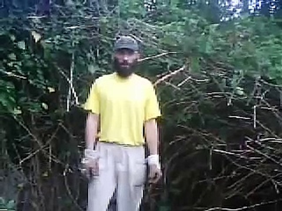 Brombeeren entfernen: Elektrische Heckenschere