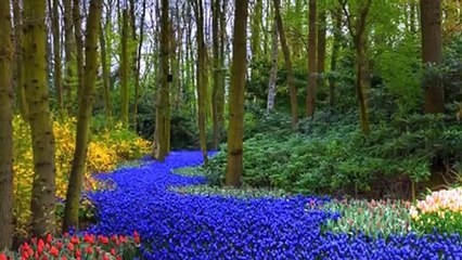 Mehmet ÖZKAYA Ne Dert Kalır Ne Hüzün