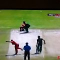 Funniest Cricket Runout Ever.. Must Watch