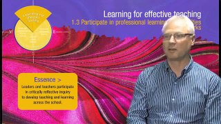 Leading learning - leaders' perspectives