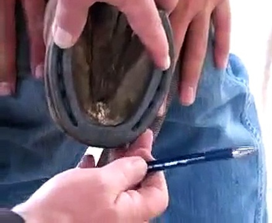 Horseshoe'n Time How-To DVD Excerpt 8