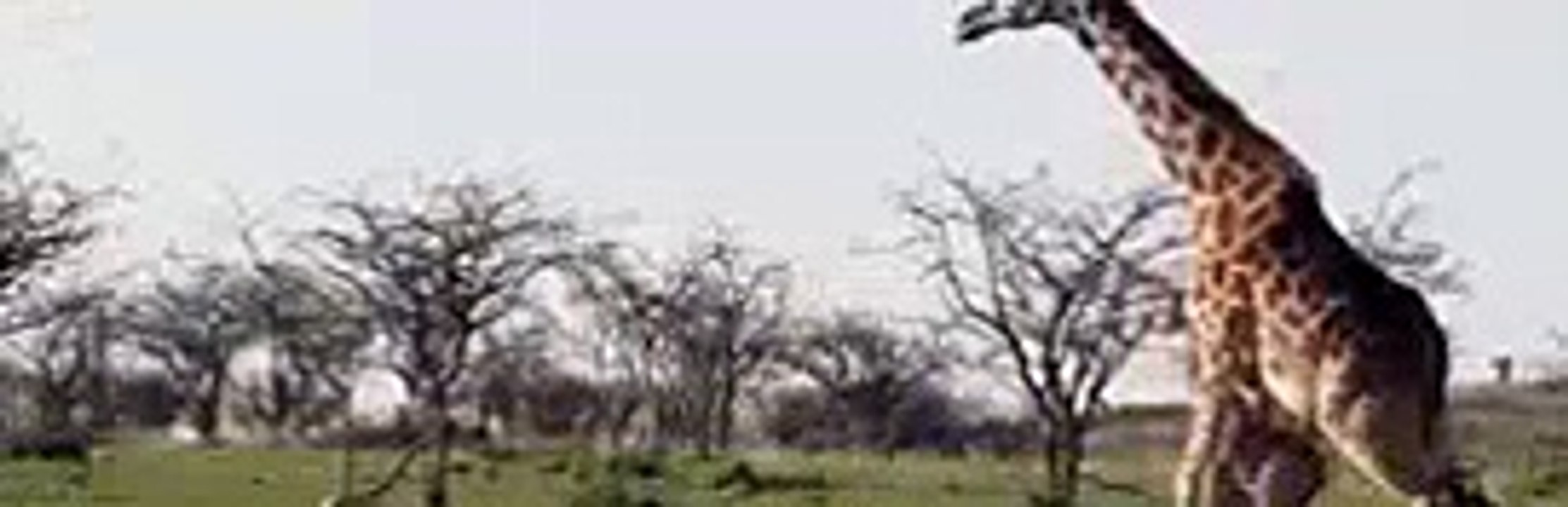 This One Goes Out To ALL The Moms Out There [Full Episode]