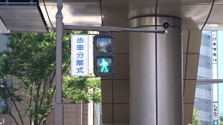 [FHD60p]長野駅前交差点の歩車分離式・音響装置付信号機【故郷の空】