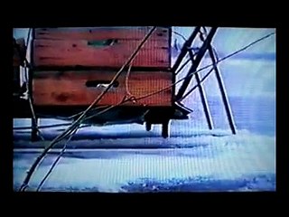 Kalastaja Pentti Linkola 2/3