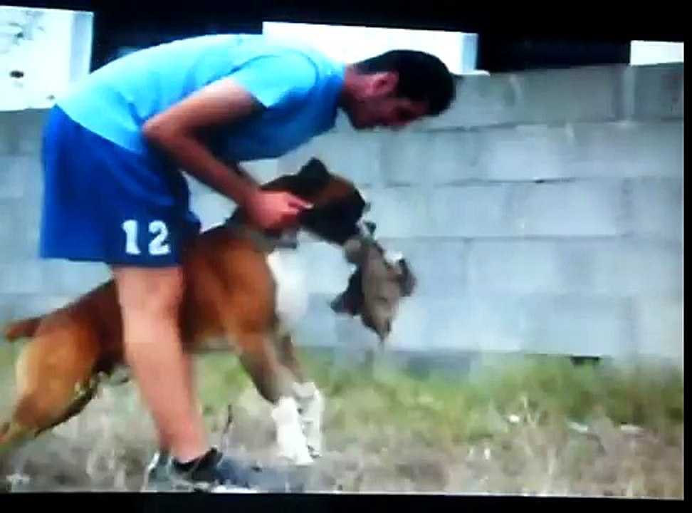 video de estone y tirma