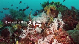 유네스코 3관왕(1분 홍보 동영상)