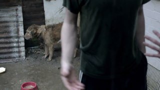 Pedigree 2013 Feeding Brighter Futures Ad: Bad Dog, Good Dog