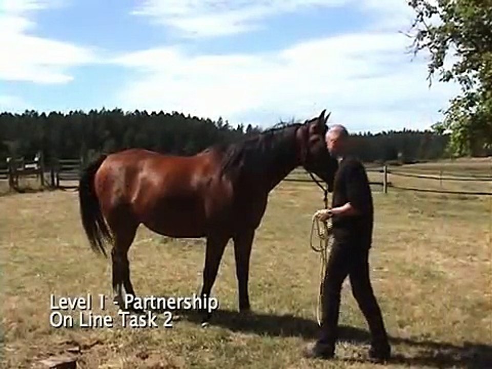 Parelli Natural Horsemanship Level 1, part 1