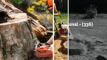 Complete Tree Stump Removal - (336) 675-2635