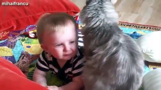 Cute Cat And Baby Videos Compilation 2015 NEW