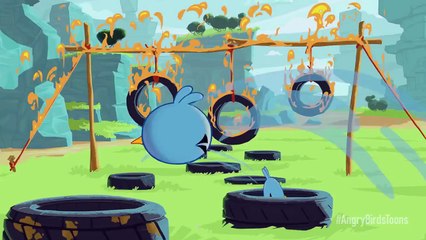 Angry Birds Toons -  1: Teaser 2