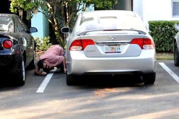 ON50 Tampa Alligator- 2010