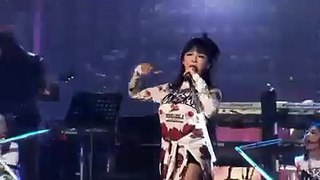 2NE1 -  I DON'T CARE (WORLD TOUR 'ALL OR NOTHING in SEOUL')