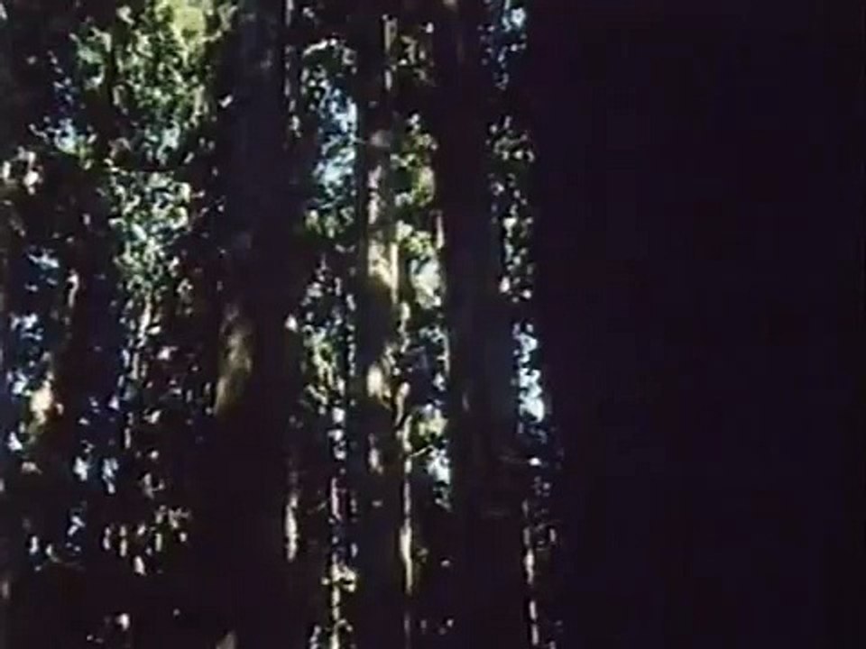 (CM) タカスギ 「満足を買う住宅会社」  (1988-01)