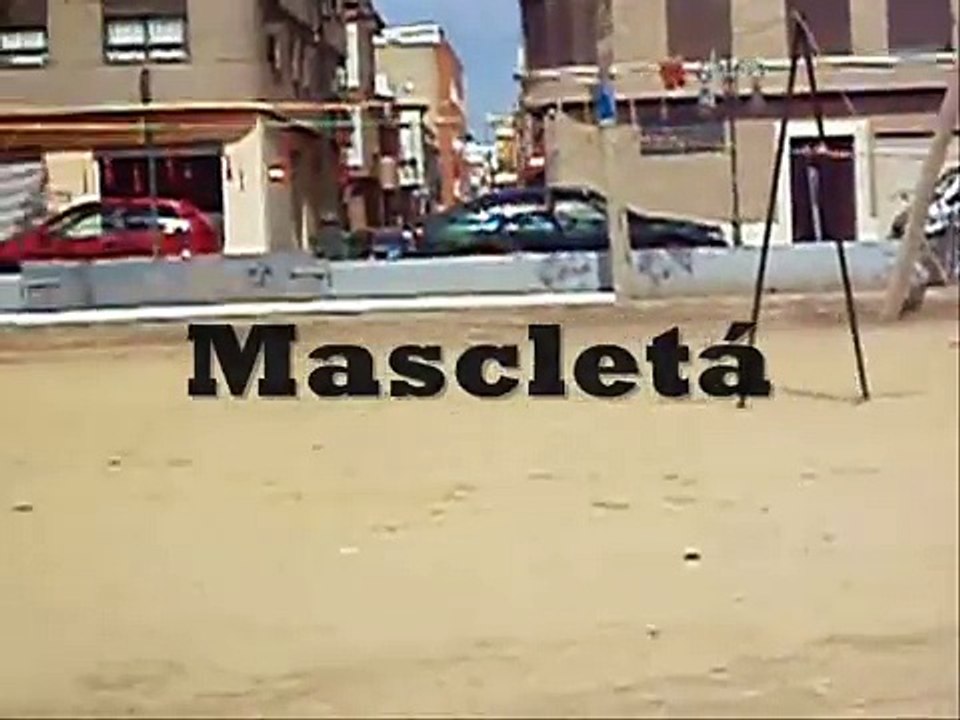 Mascleta Virgen La Saleta Aldaia 2006